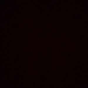 Meet your Posher, Sebastian